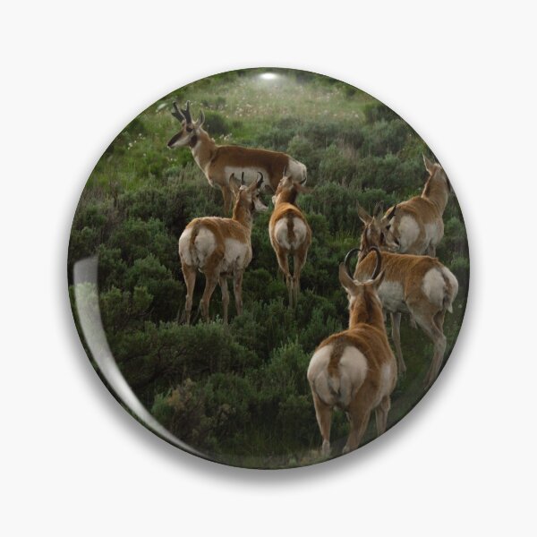 Item preview, Pronghorn Herd designed and sold by CarrotRiots.