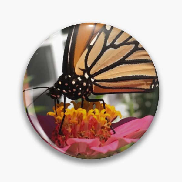 Item preview, Butterfly Treasure designed and sold by ErinBrieArt.