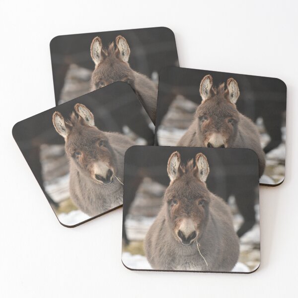Item preview, Grey Donkey chewing on some hay designed and sold by cspotlimp.