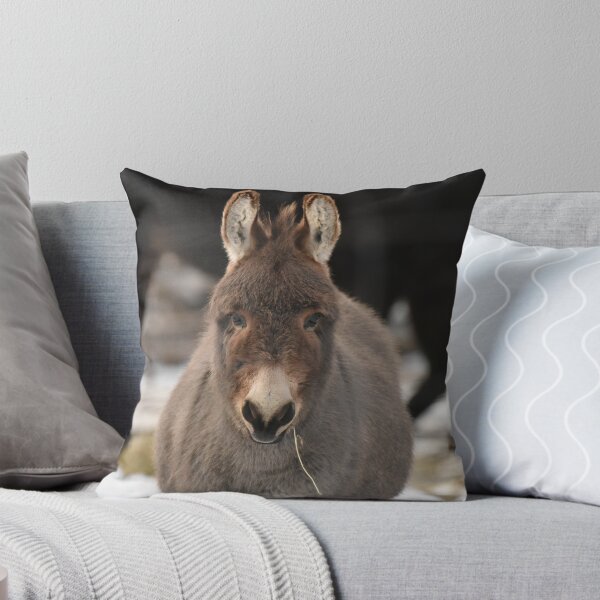 Item preview, Grey Donkey chewing on some hay designed and sold by cspotlimp.