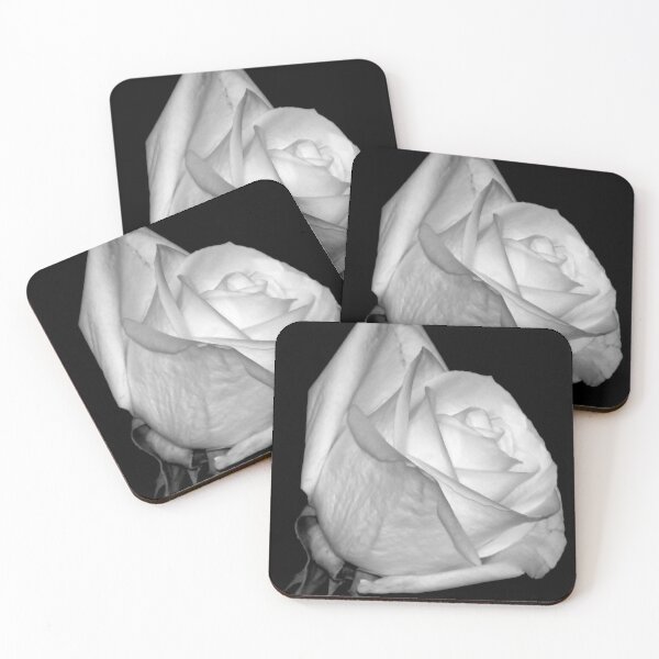 Item preview, White Rose designed and sold by inklingsphotos.