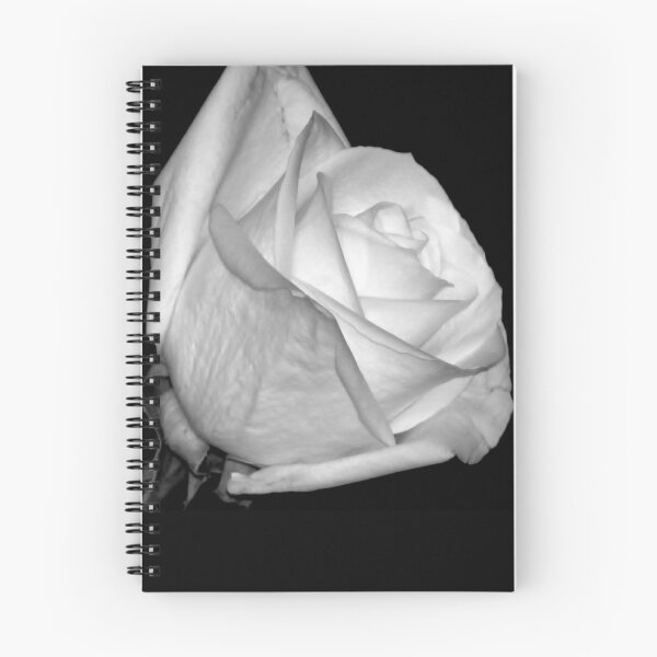 Item preview, White Rose designed and sold by inklingsphotos.