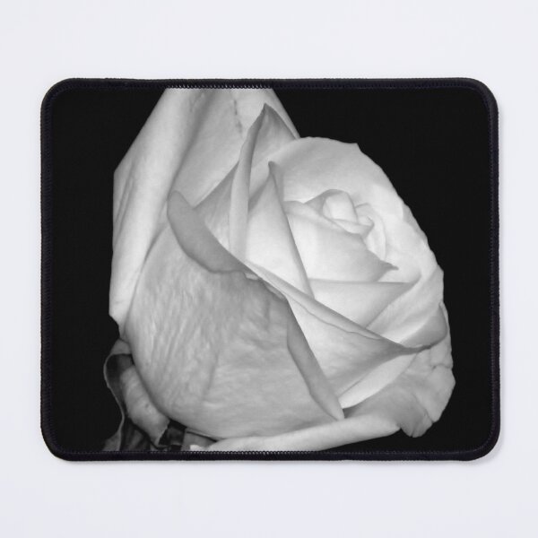 Item preview, White Rose designed and sold by inklingsphotos.