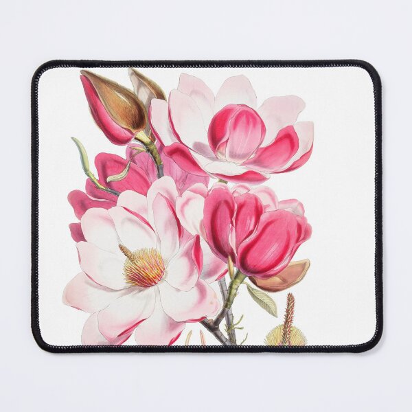 Item preview, Campbell's magnolia designed and sold by carvinart.