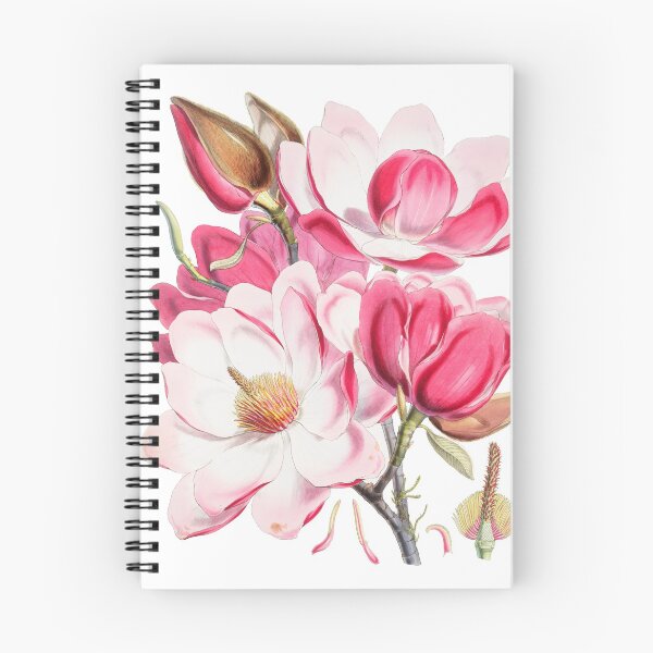 Item preview, Campbell's magnolia designed and sold by carvinart.