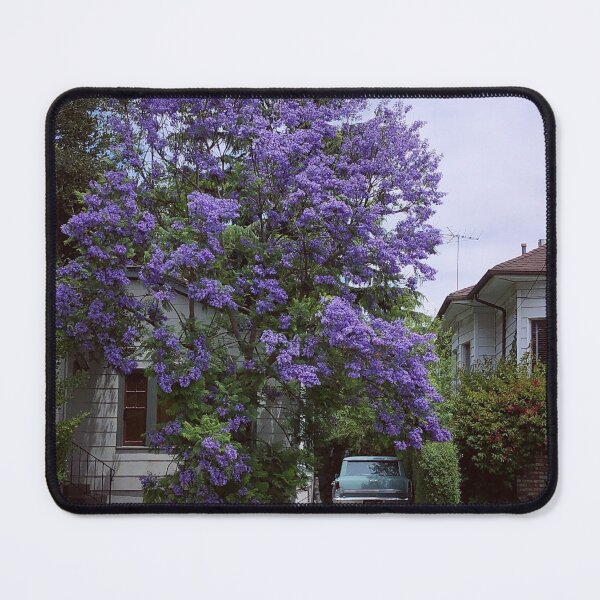 Item preview, Jacaranda Tree in Alameda, California designed and sold by jenniferloring.