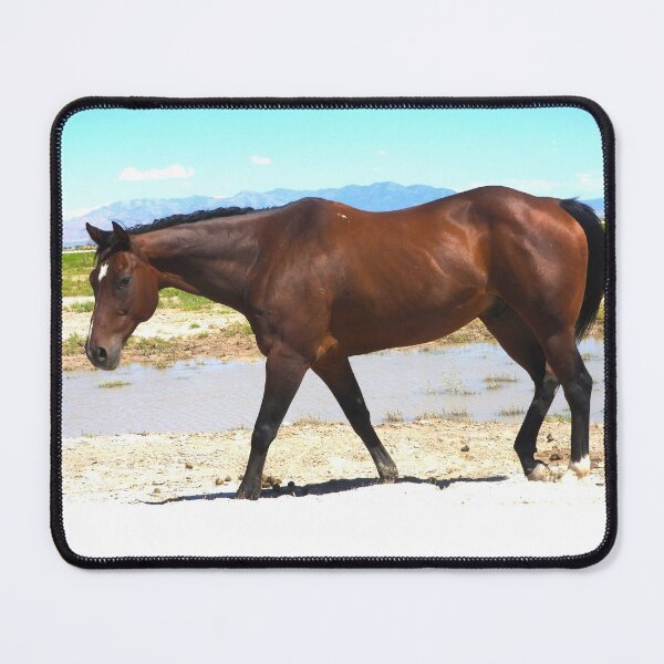 Item preview, Red mustang and blue sky designed and sold by Stephanie Skeem.