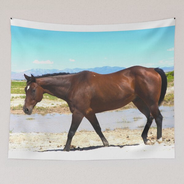 Item preview, Red mustang and blue sky designed and sold by Stephanie  Skeem.