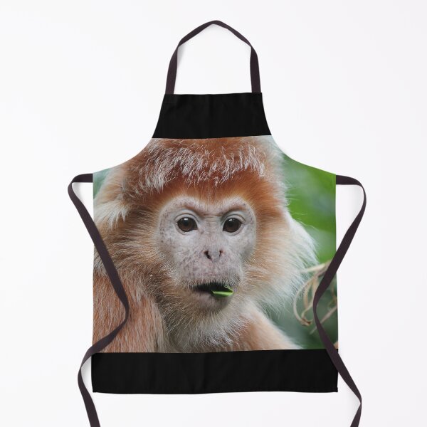 Item preview, Are You Serious? designed and sold by LeanneAllen.