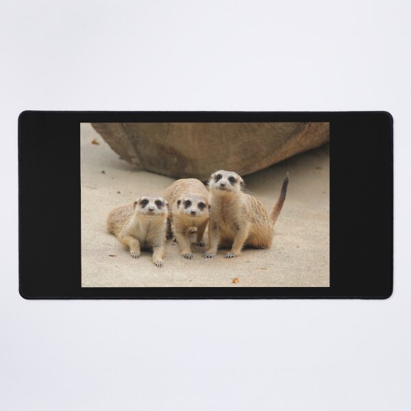 Item preview, Our Cuteness Comes In A Package Deal, 3 For 1! designed and sold by LeanneAllen.