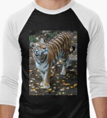 Tigress Men's Baseball ¾ T-Shirt