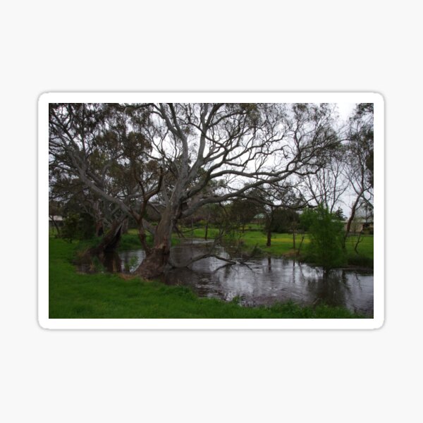 Naracoorte Creek Walk Sticker
