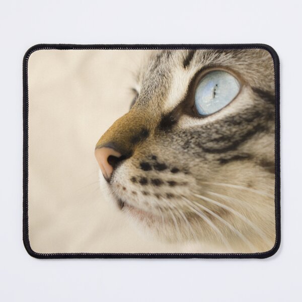 Item preview, cats designed and sold by DoceFogo.