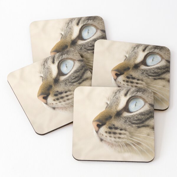 Item preview, cats designed and sold by DoceFogo.