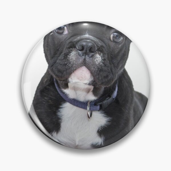 Item preview, Black little puppy designed and sold by Rejcharms.