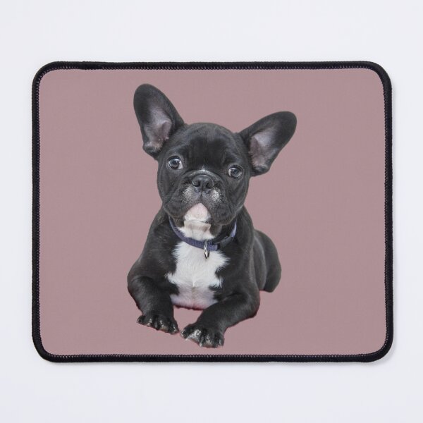 Item preview, Black little puppy designed and sold by Rejcharms.