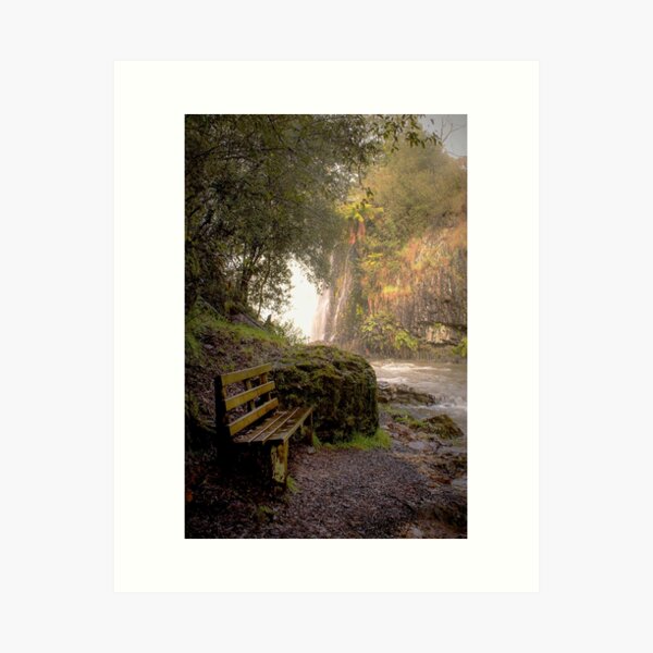 Enchanted Art Print
