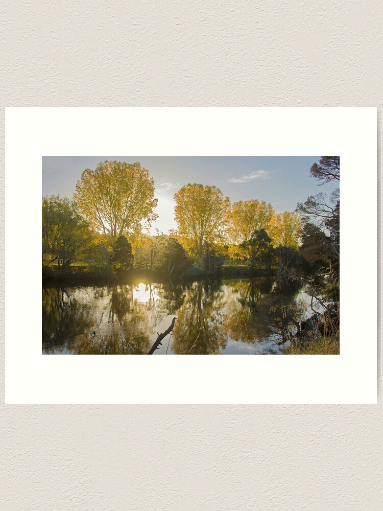 Thumbnail 1 of 3, Art Print, Golden Sunset designed and sold by KimOgdenPhotos.