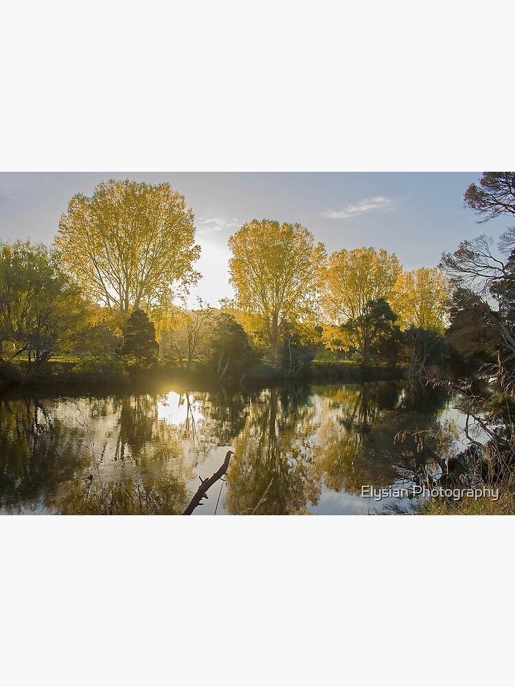 Thumbnail 3 of 3, Art Print, Golden Sunset designed and sold by KimOgdenPhotos.