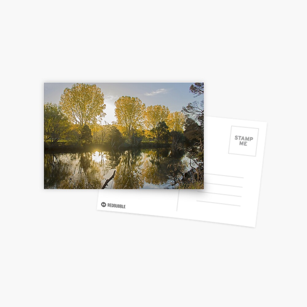 Item preview, Postcard designed and sold by KimOgdenPhotos.