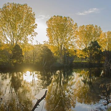 Artwork thumbnail, Golden Sunset by Elysian Photography