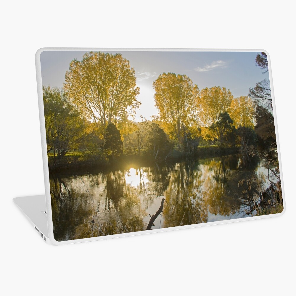 Item preview, Laptop Skin designed and sold by KimOgdenPhotos.