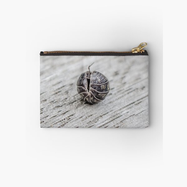 Item preview, In My Shell designed and sold by Elysian Photography.