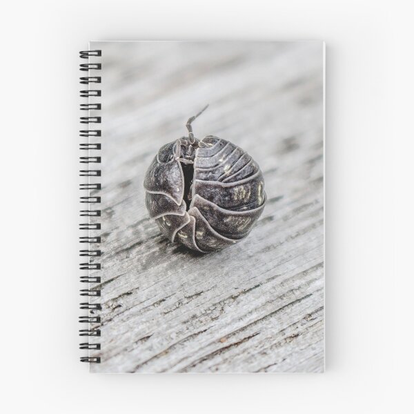 Item preview, In My Shell designed and sold by Elysian Photography.