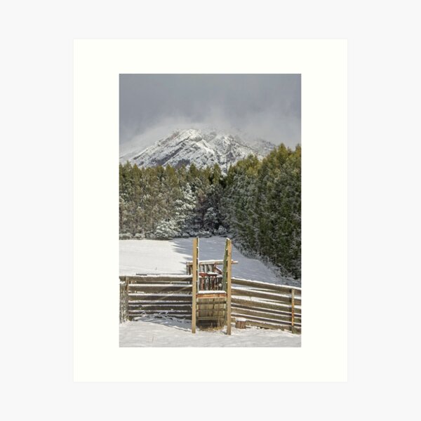 Frosty Art Print