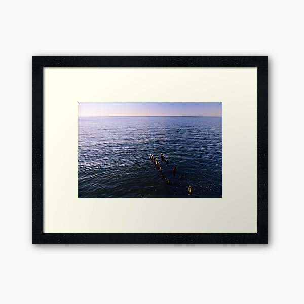 Framed Art Print