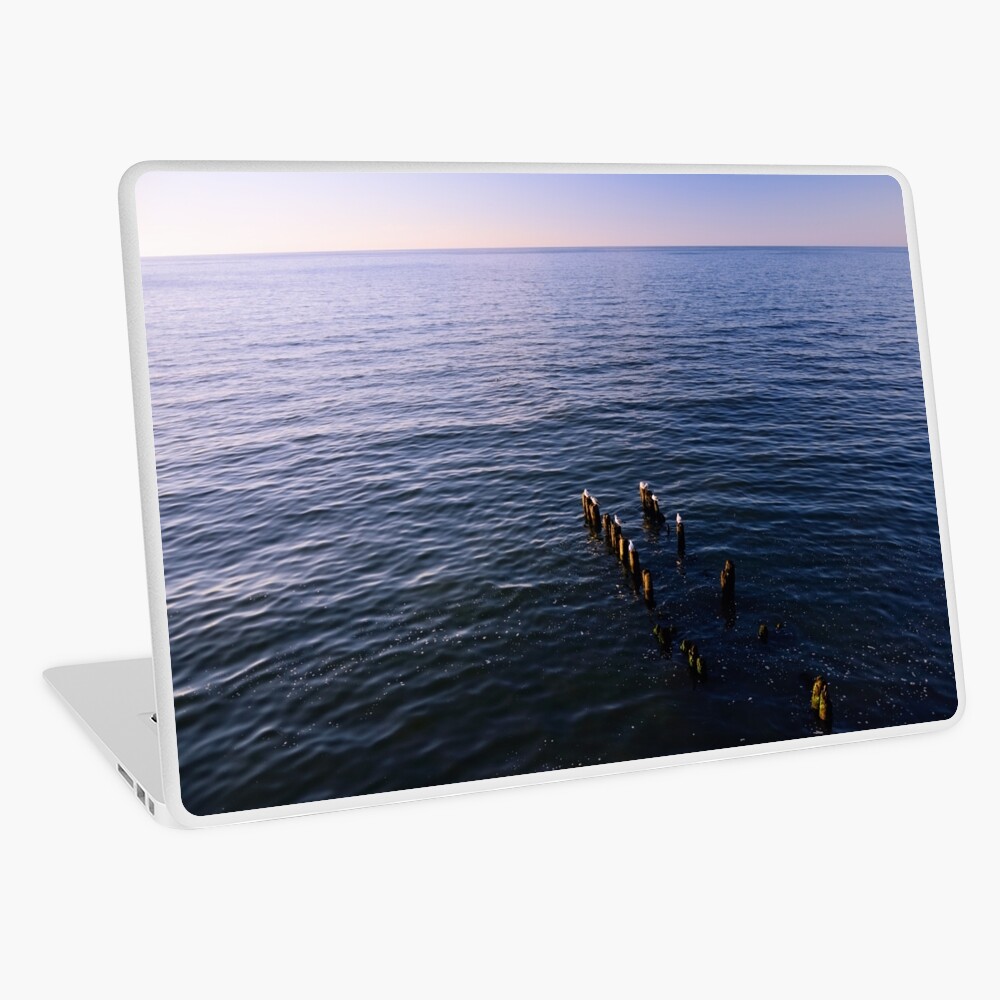 Item preview, Laptop Skin designed and sold by Mallorn.