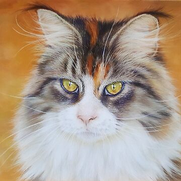 Artwork thumbnail, A long haired cat portrait by Penguland