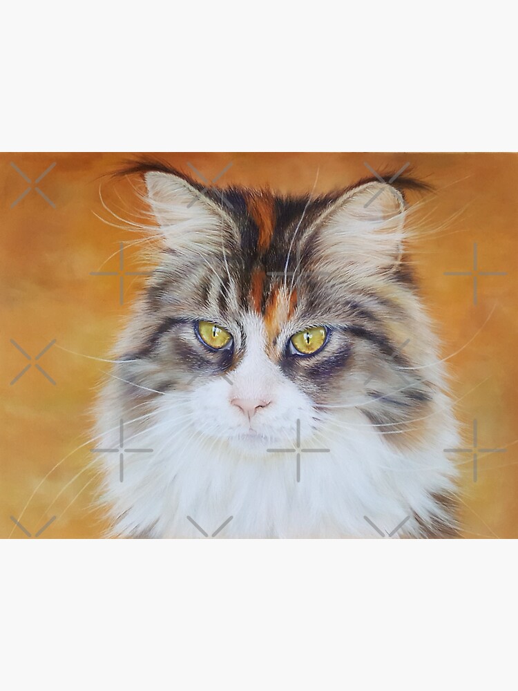 Thumbnail 3 of 3, Sticker, A long haired cat portrait designed and sold by Penguland.