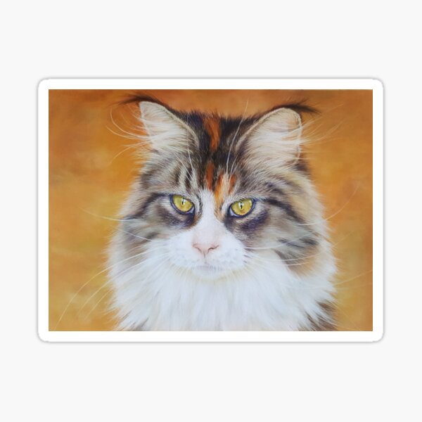 A long haired cat portrait Sticker
