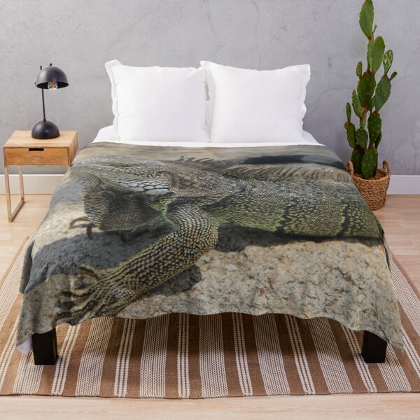 Item preview, Aruba Iguana designed and sold by NinoKhato.