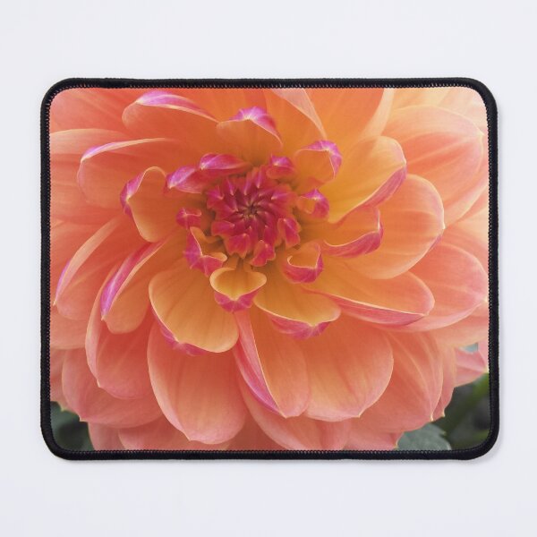 Item preview, Peach flower designed and sold by zchriswit.