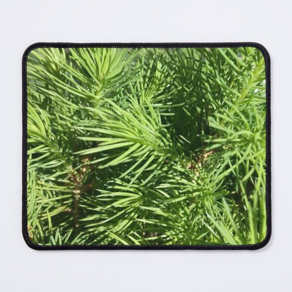 Item preview, Green designed and sold by Amanda1775.