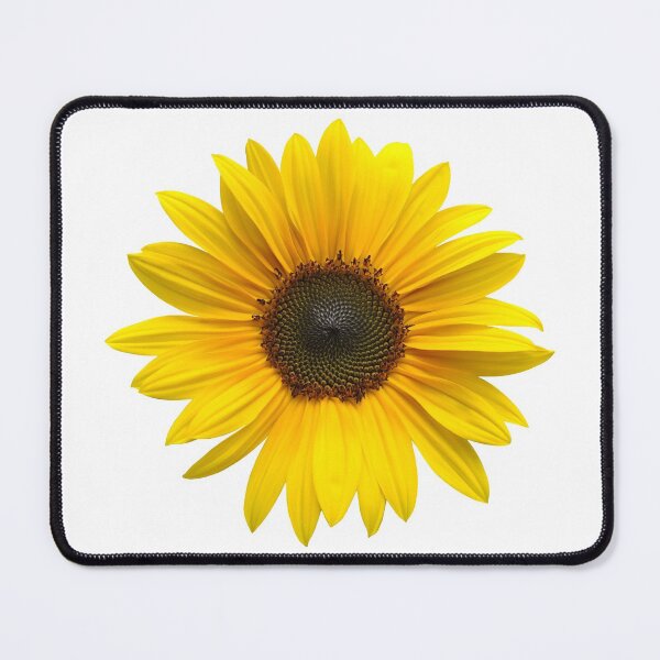 Item preview, Sunflower 2 designed and sold by quentinjlang.