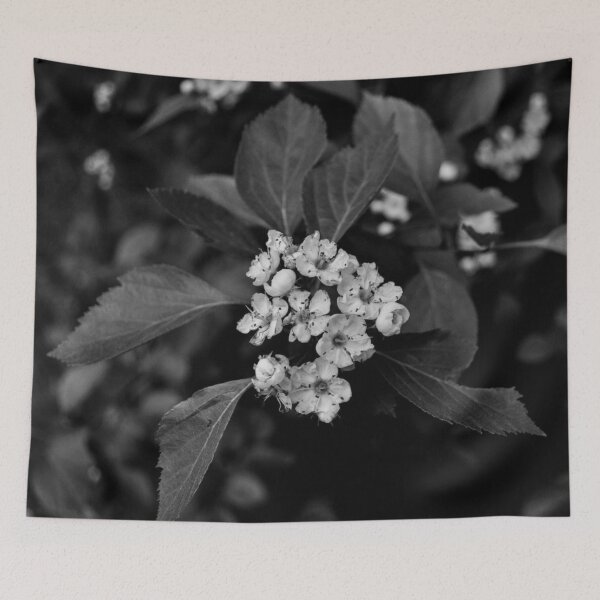 Aperçu de l'œuvre Fleurs noires et blanches créée et vendue par MissJades.