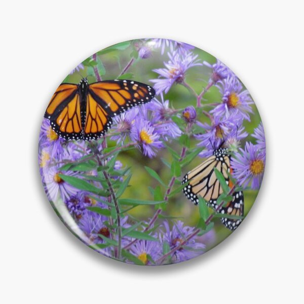 Item preview, Monarch's Dance designed and sold by inklingsphotos.