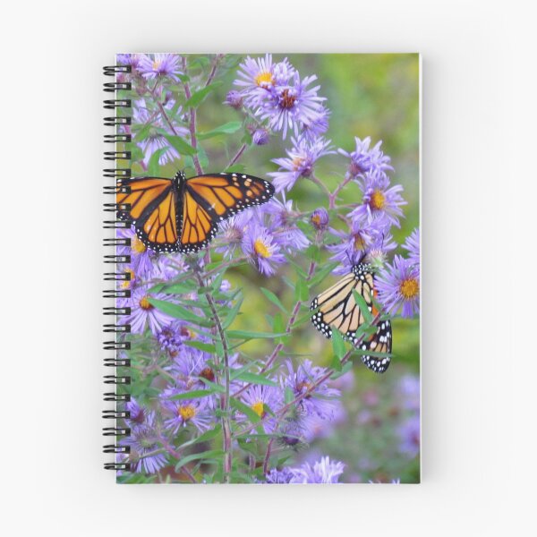 Item preview, Monarch's Dance designed and sold by inklingsphotos.