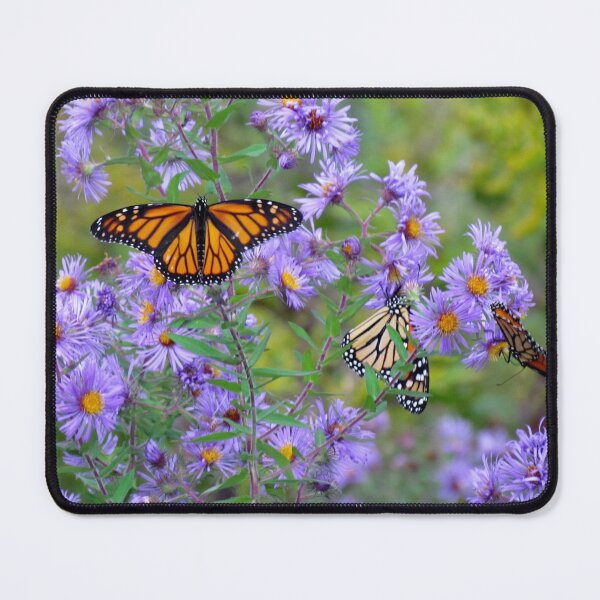 Item preview, Monarch's Dance designed and sold by inklingsphotos.