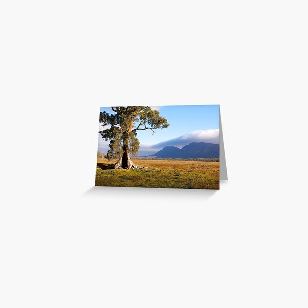 Item preview, Cazneaux Tree, Wilpena Pound, South Australia , Study #1, 2014. designed and sold by johnrf.