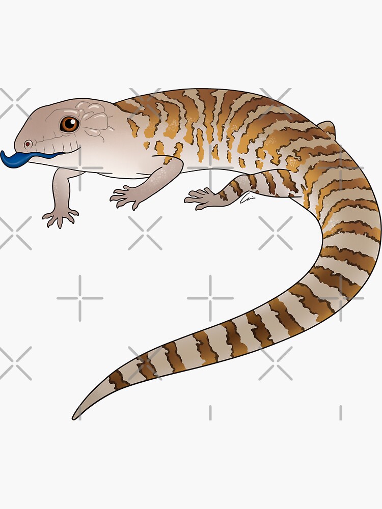 Thumbnail 3 of 3, Sticker, Blue Tongue Skink II designed and sold by anacecilia.