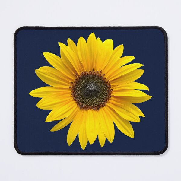 Item preview, Sunflower 3 designed and sold by quentinjlang.