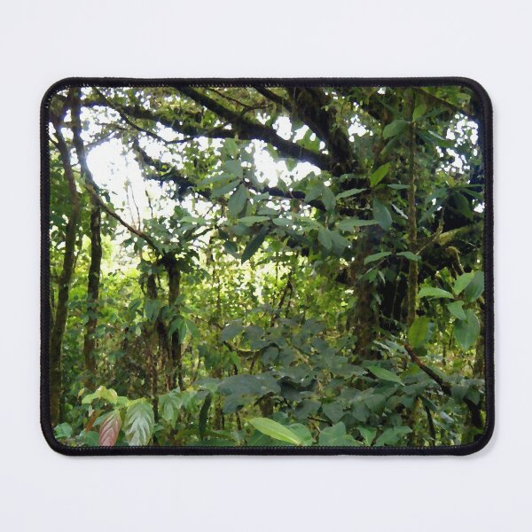 Item preview, Tropical Rainforest, Broad Green Leaves, Costa Rica designed and sold by ACC .