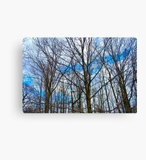 bare trees Canvas Print