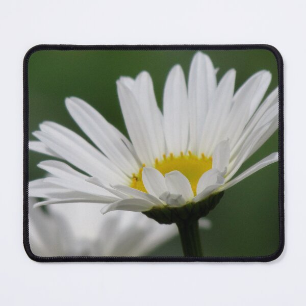 Item preview, Delightful Daisies designed and sold by inklingsphotos.