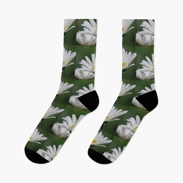 Item preview, Delightful Daisies designed and sold by inklingsphotos.