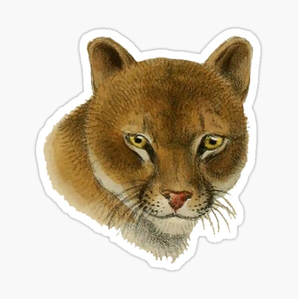 Vista previa del artículo con la obra «Puma», diseñado y vendido por EdgarCurious.